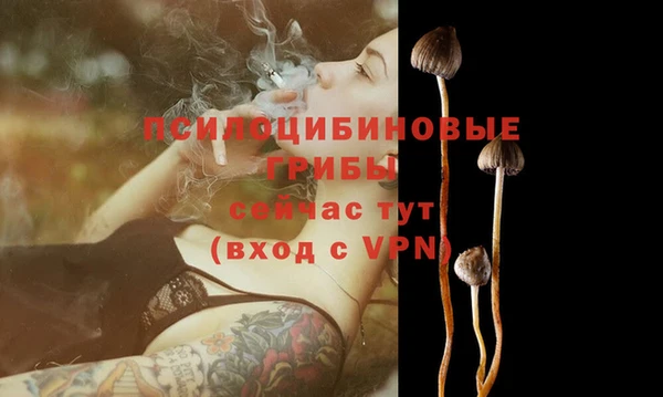 PSILOCYBIN Беломорск